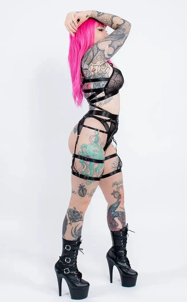 Cribellum Suspender