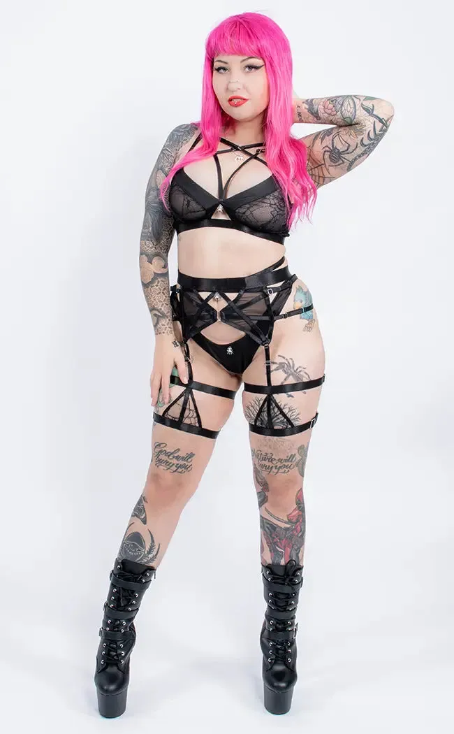 Cribellum Suspender